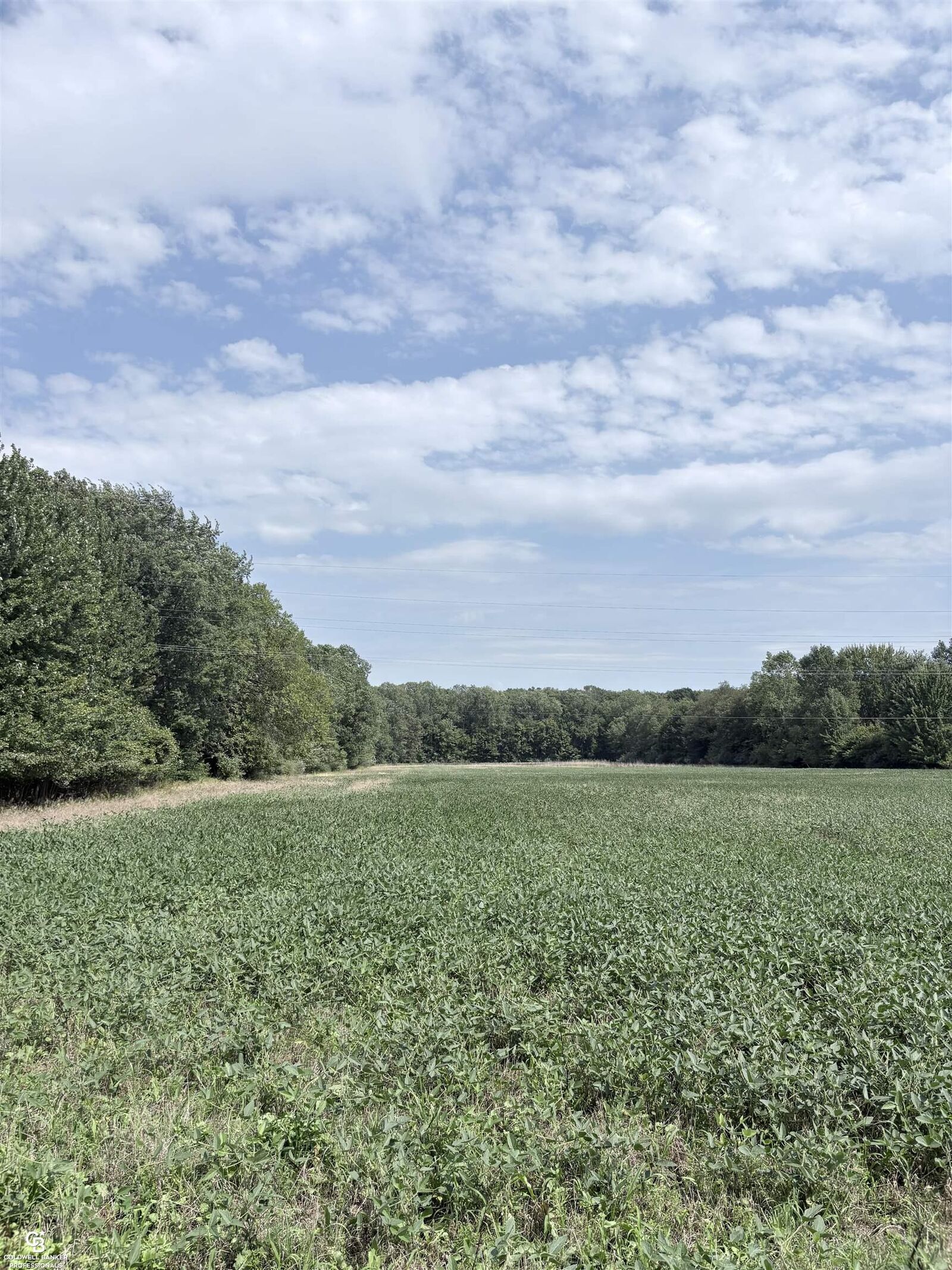 Property Photo: 000 Palms Road MI 48063