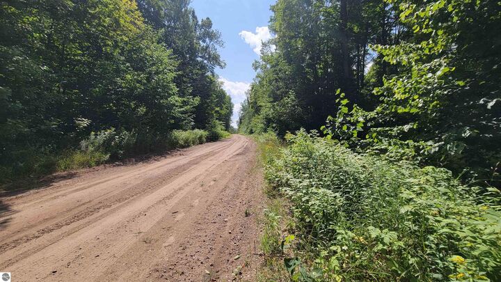 Property Photo: Vl Beechnut Lane MI 49799