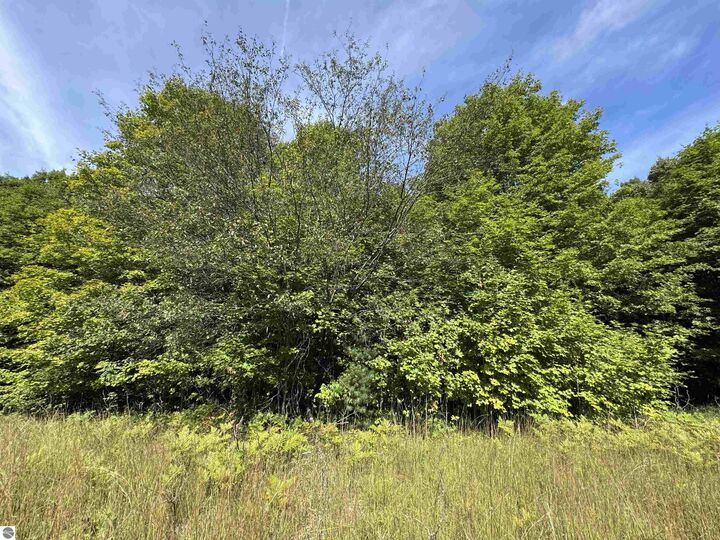 Property Photo: 000 S Garfield Road MI 49696