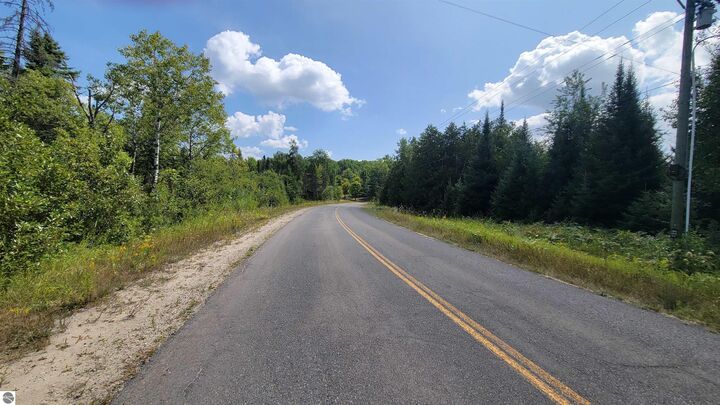 Property Photo: 15225 Lakeview Drive MI 49799