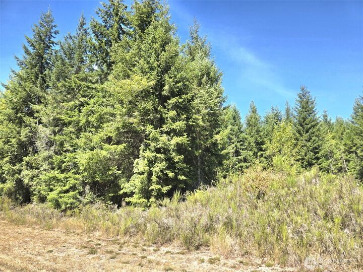 Property Photo: 19710 146th Avenue SE WA 98597