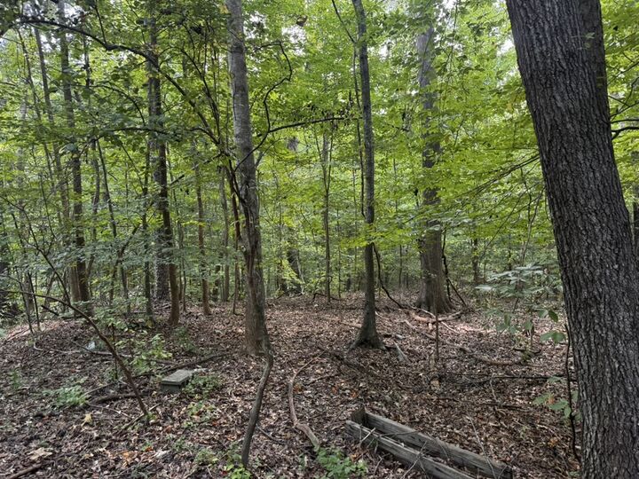 Property Photo:  1146 Little Mountain Road  SC 29626 