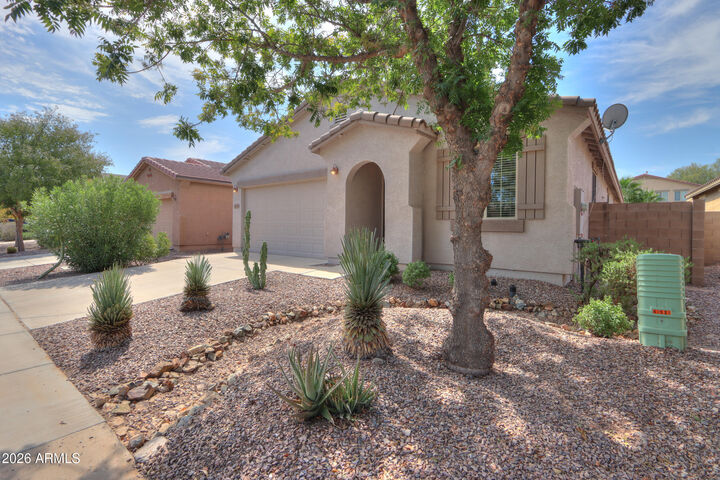 Property Photo:  42531 W Palmyra Lane  AZ 85138 