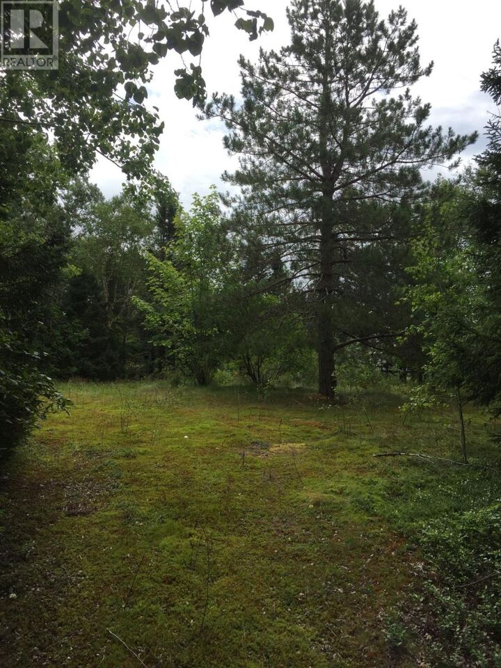Property Photo:  17 Leggetter's Lane  NL A0G 1Z0 