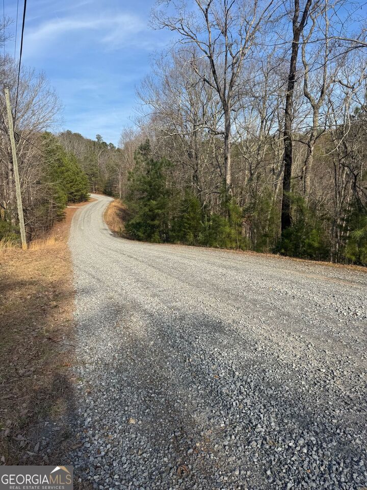 Property Photo:  208 Lake Forest Drive  GA 30540 