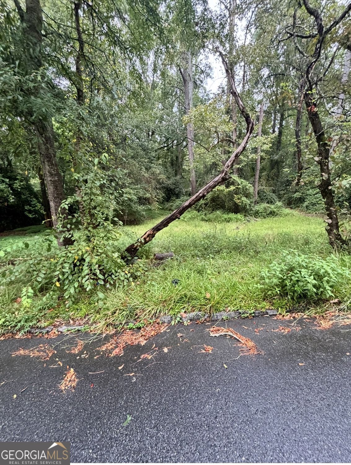 Property Photo: 8 N Poplar Street GA 30213