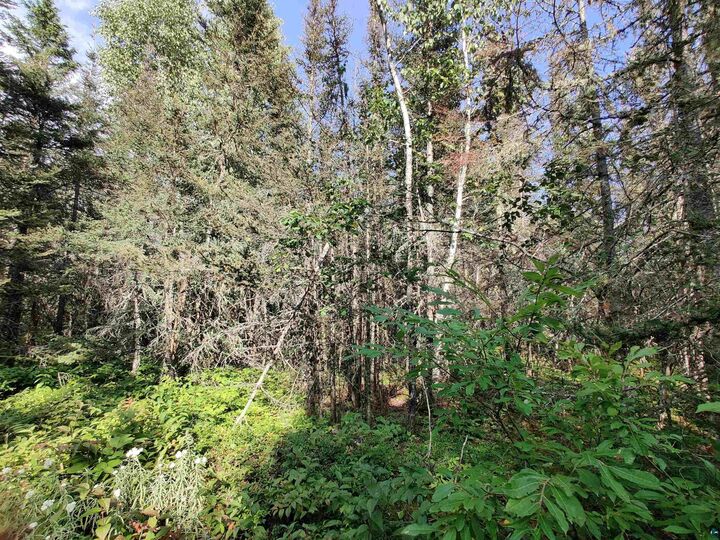 Property Photo: Xxx Gauthier Rd MN 55606