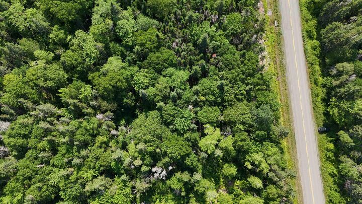 Property Photo:  2 Acre Highway 5  NS B1X 1M4 