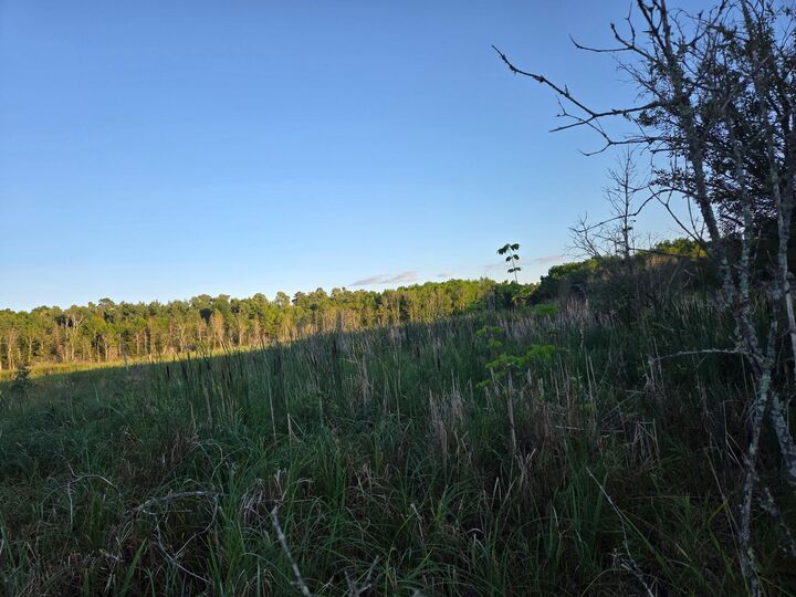 Property Photo:  Tbd Lot 3 190th Street  MN 56621 