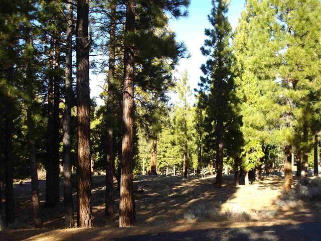 Property Photo:  269 Big Cedar Lane  CA 96122 