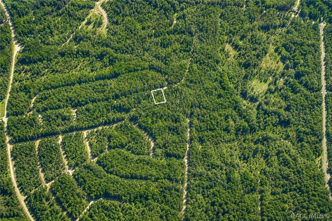 Property Photo: 905 E Abend Drive FL 34434