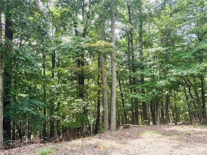 Property Photo: Tbd Timber Ridge Road NC 28649