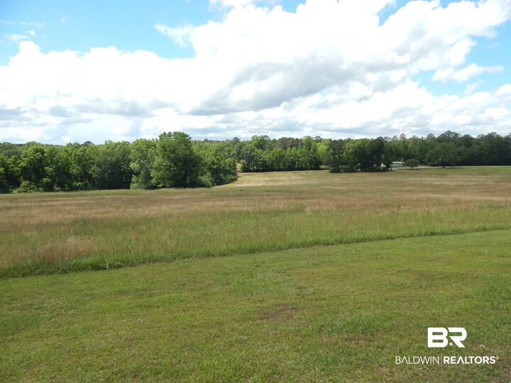 Property Photo:  343 Old Sparta Road  AL 36401 