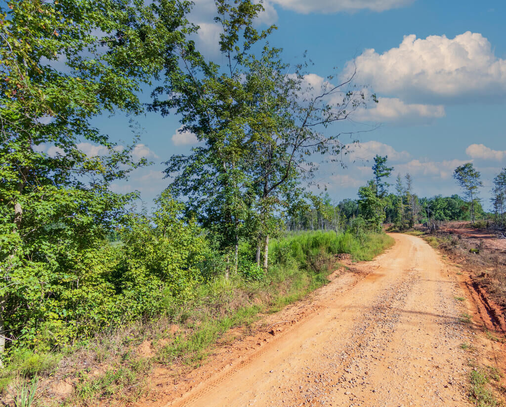 Property Photo:  Tract 6 Carlisle Gap Road  GA 31836 