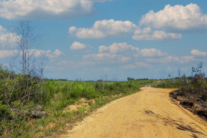 Property Photo:  Tract 4 Highway 0036  GA 31836 