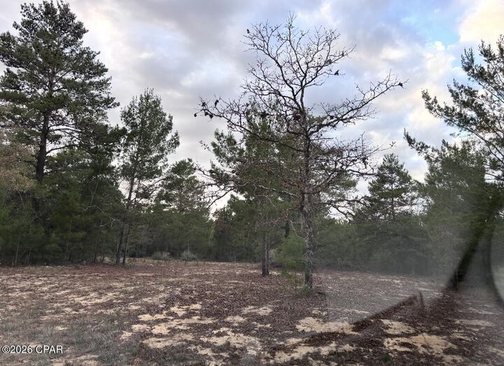 Property Photo:  0 Fairhaven Lot 9 Drive  FL 32428 