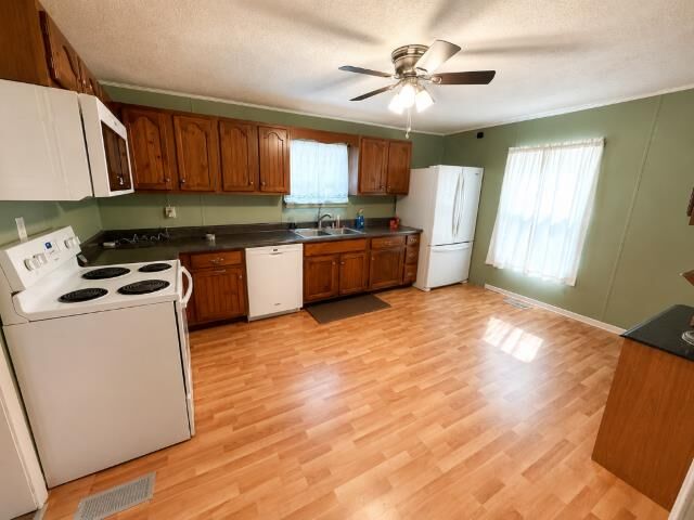 Property Photo: 31 Campigatta Hollow KY 41265