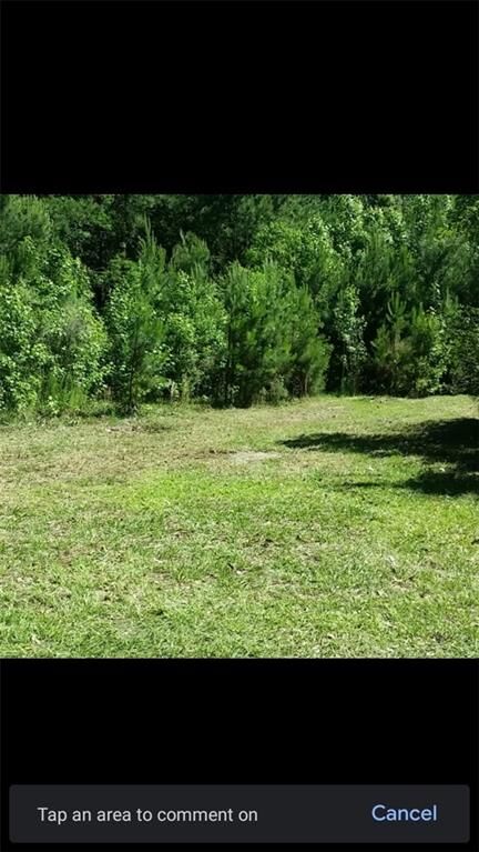 Property Photo: 221 Turtle Drive GA 31324
