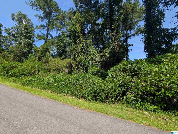 Property Photo:  0 Hilltop Road 0  AL 36277 