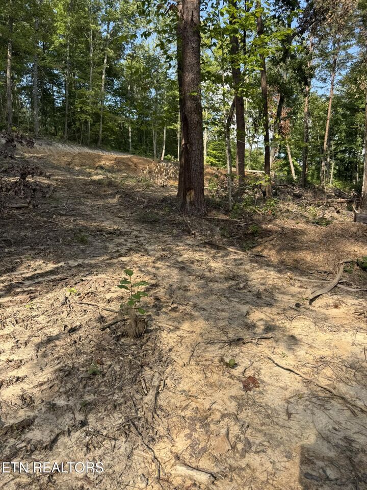 Property Photo:  Lot 4A Texas Hollow Rd.  TN 37779 