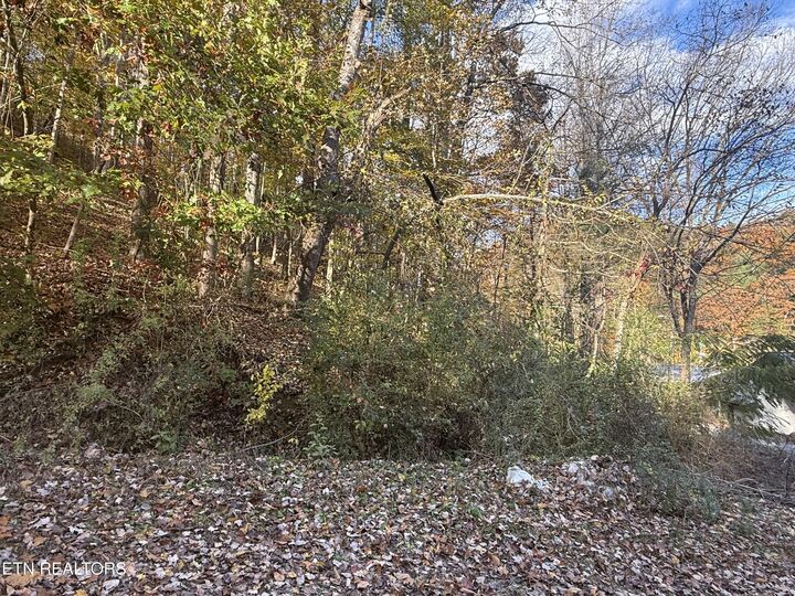 Property Photo:  Trentham Way  TN 37863 