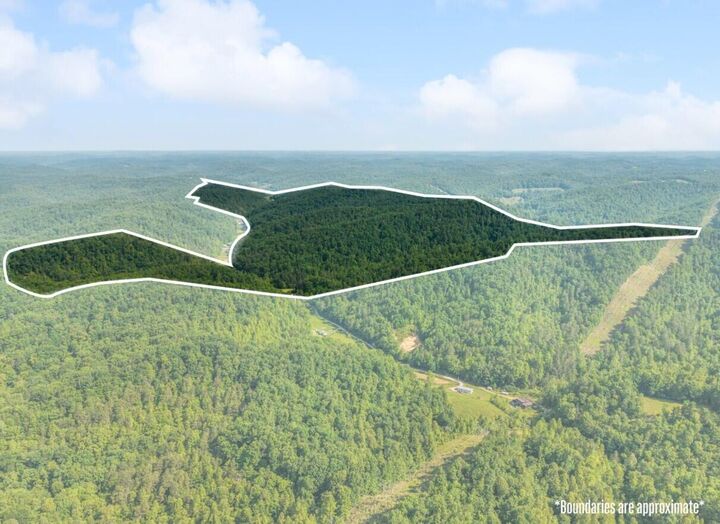 Property Photo: 1068 Stingy Fork Rd Road KY 41472