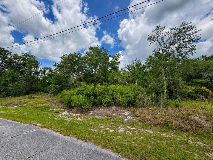Property Photo:  1334 Tallahassee Court  FL 34759 