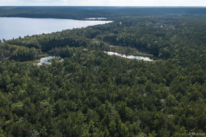 Property Photo: Tbd Perry Road MI 49806