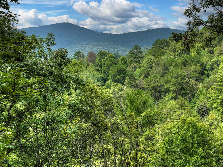 Property Photo:  1821 Stanley Creek Road  GA 30522 