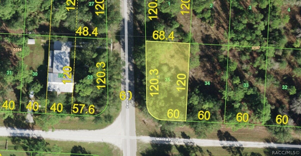 Property Photo:  27282 Mandalay Drive  FL 33955 