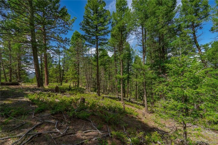 Property Photo: 384 Insmont Lane CO 80816