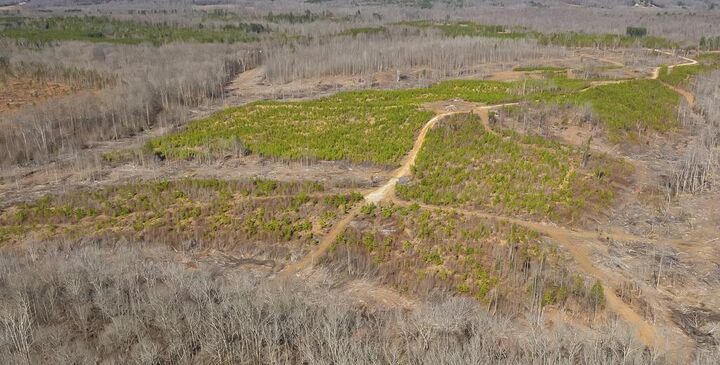 Property Photo: 05 Haglersville Rdparcel 5 TN 38236