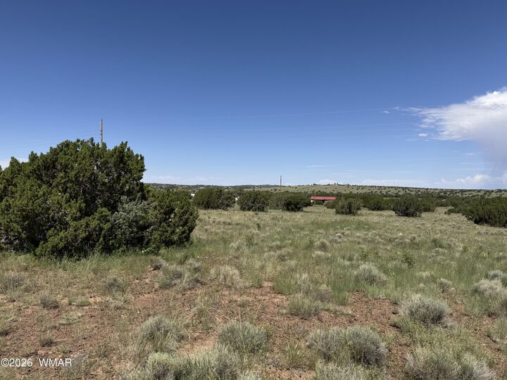 Property Photo: 119 County Road 5106 AZ 85924