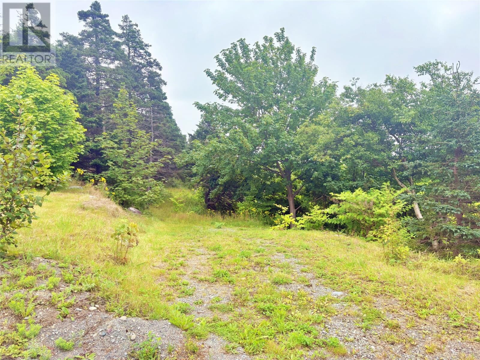 Property Photo:  1288 Main Road  NL A0B 1S0 