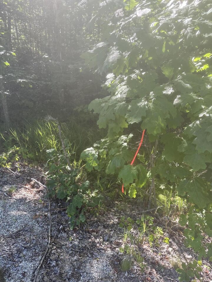 Property Photo: Lot 5 W Side Unionville Road ME 04680