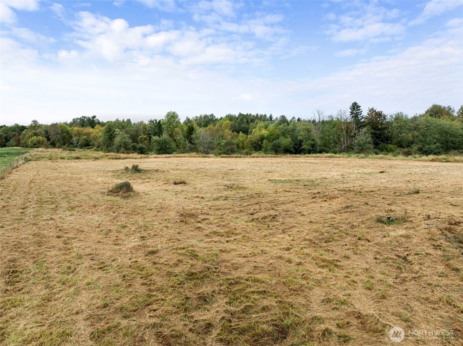Property Photo:  233  Allison Road  WA 98591 
