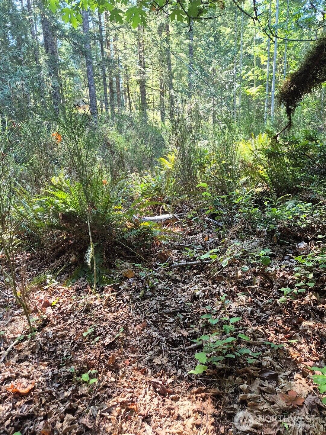 Property Photo: 2755 Lost Creek Lane NW WA 98312