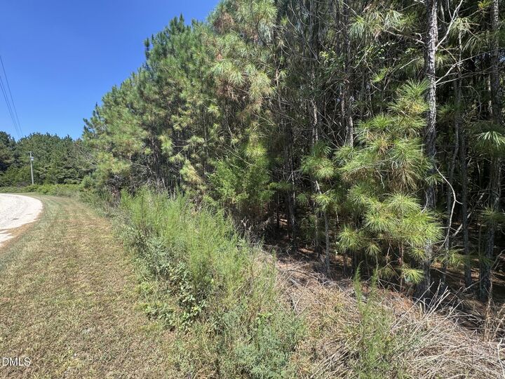 Property Photo:  135 Mandolin Way  NC 27589 