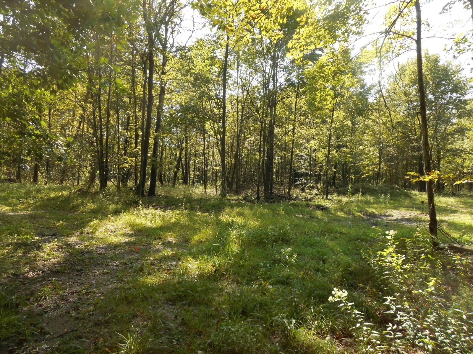 Property Photo: 000 Kerr St PA 15824