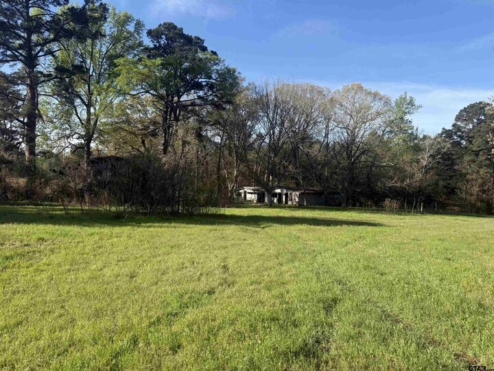 Property Photo: 15830 Shady Creek TX 75705