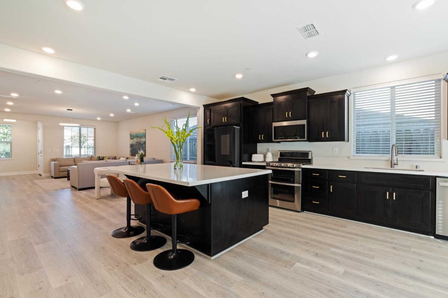 Property Photo:  517 Desert Bloom Court  CA 95765 