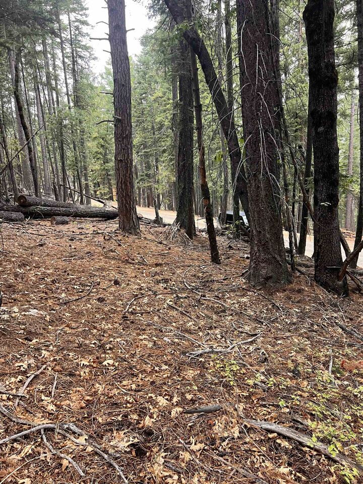 Property Photo: 2471 Shooting Star Lane CA 96122-0000