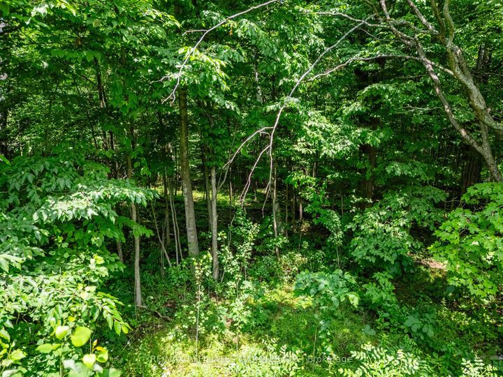 Property Photo: Lot Beaver Brook Road ON K0C 1S0
