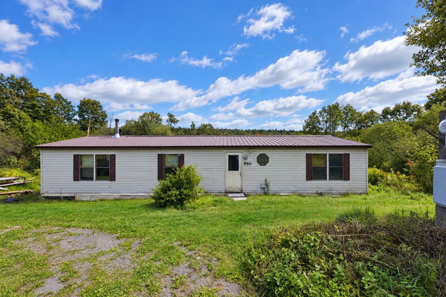 Property Photo: 950 Page Brook Road NY 13862