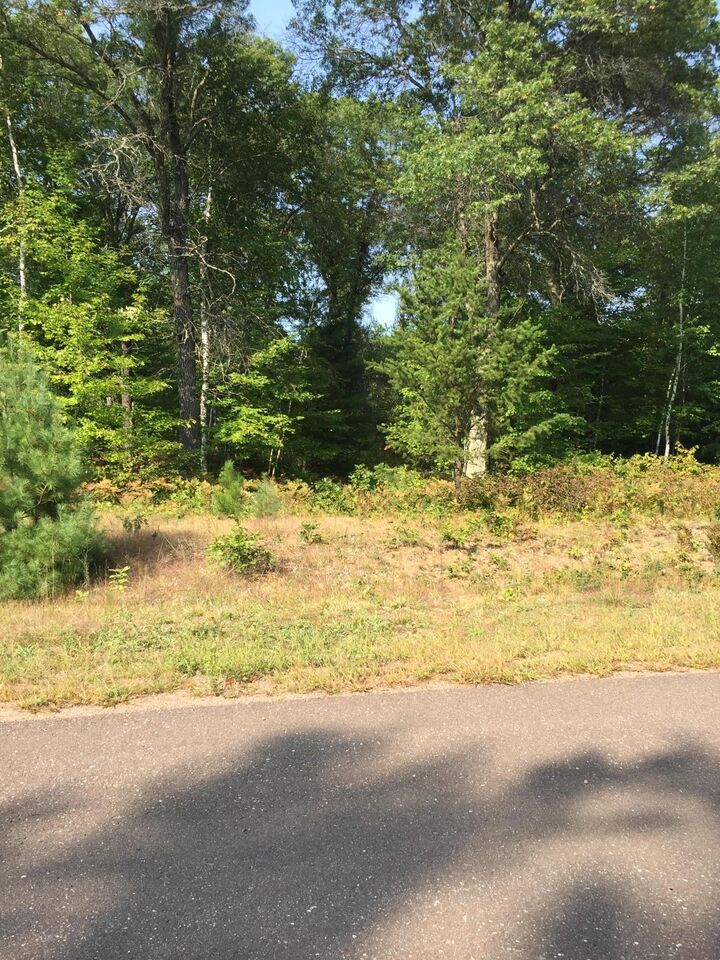 Property Photo:  Lot 31 Shady Lane  WI 54872 