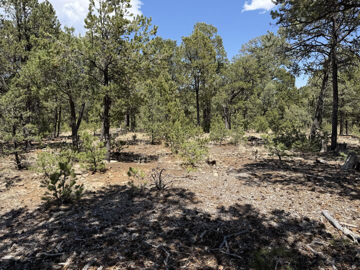 Property Photo: Lot 20 Dancing Hawk Drive NM 87552