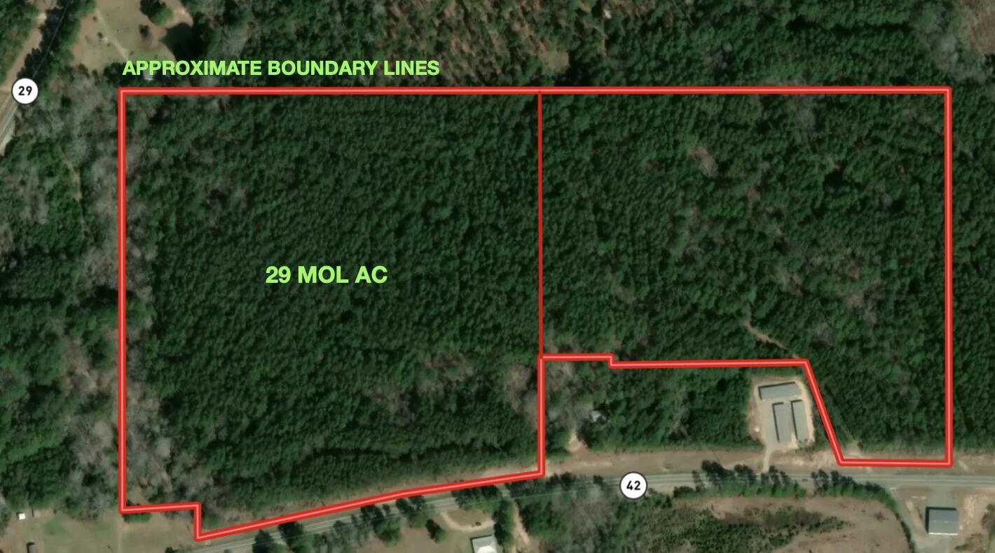 Property Photo:  29 Mol Ac Hwy 42  MS 39465 