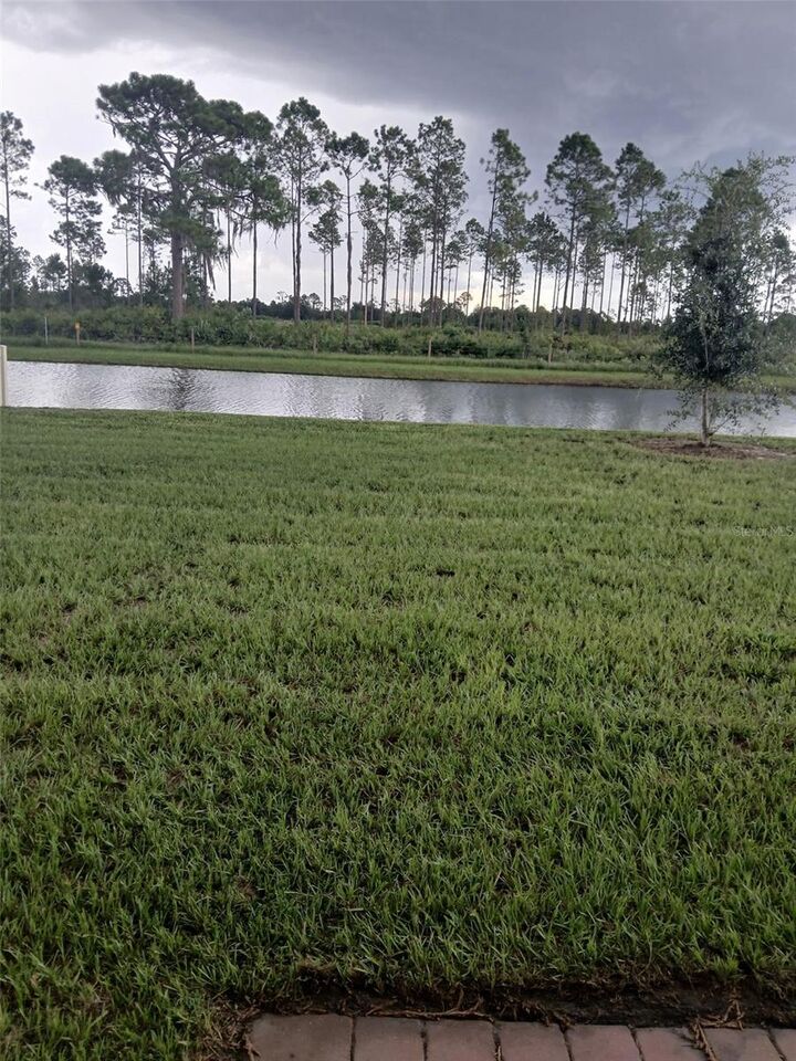 Property Photo: 3198 Viceroy Court FL 34759