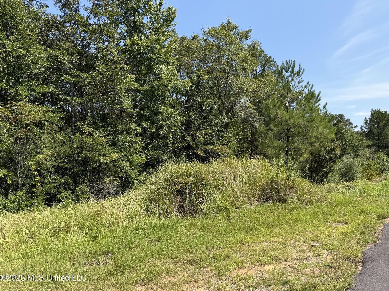 Property Photo:  3.7 Acres Beesley Road  MS 39452 