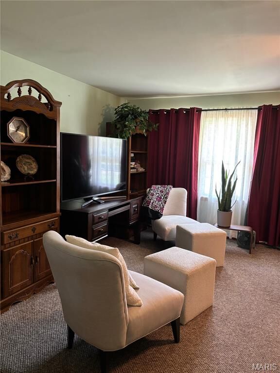 Property Photo: 301 Wellborn Road MO 63845